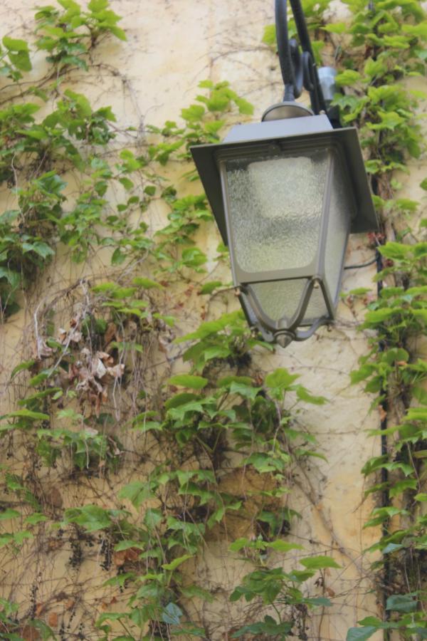 La Cour Villa Lourmarin Eksteriør bilde